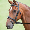 Bridles & Leatherwork